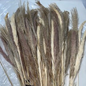 Large bundle lot Natural Dried Pampas Grass Bouquet various types 85ct.